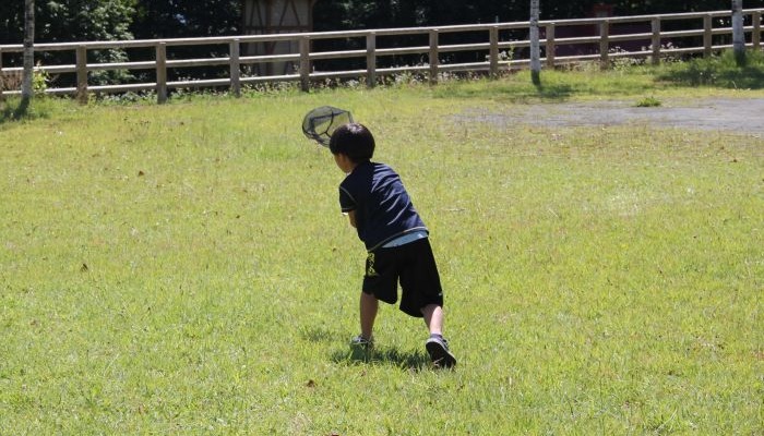 岩手県立児童館 いわて子どもの森/トップページ